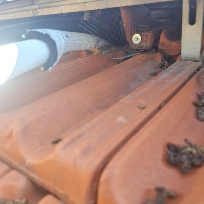 רשת חסימת חור שדרכו נכנסו יונים מתחת לרעפים